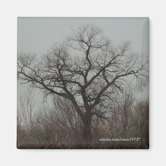 Imán El árbol (Frente)