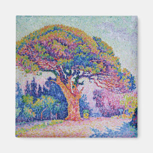 Imán El árbol de pino en St Tropez, 1909
