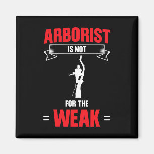Imán El arborista masculino no es para el débil ascenso