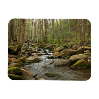 Imán El arroyo de Le Conte en las grandes montañas hume