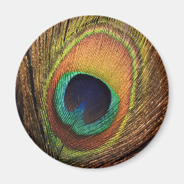 Imán El arte de la naturaleza 4Wilma