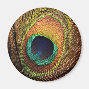 Imán El arte de la naturaleza 4Wilma