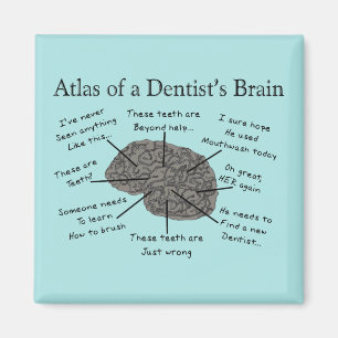 Imán El Atlas del Cerebro de un dentista humorístico