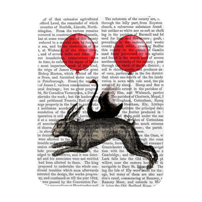 Imán El Barco de la Cuerda (Vertical)