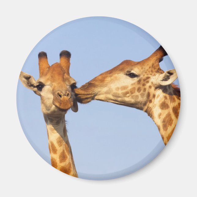 Imán El beso (Frente)