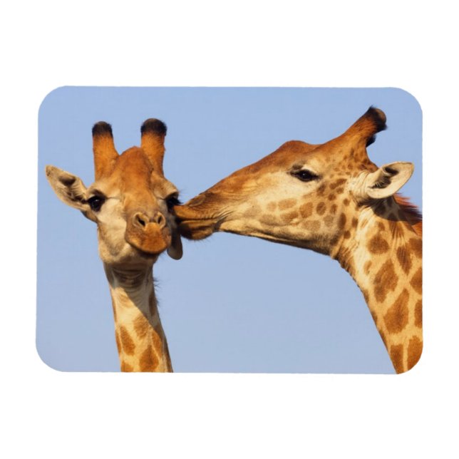 Imán El beso (Horizontal)