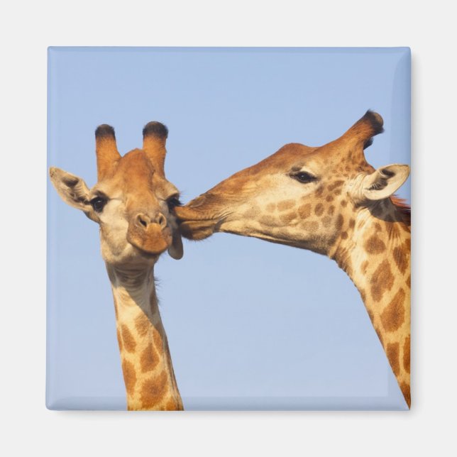 Imán El beso (Frente)