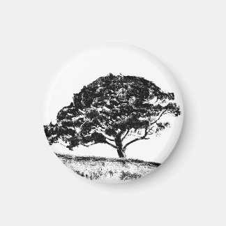 Imán El Bonaventure Pine