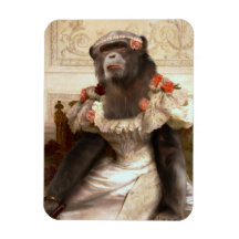 El bonito chimpancé en el vestido