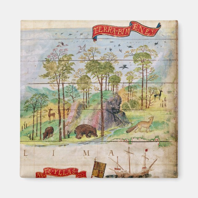 Imán El bosque canadiense (Frente)