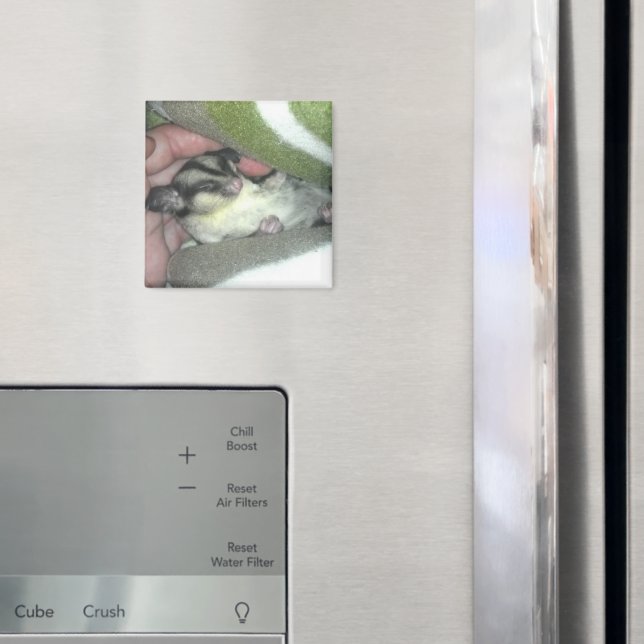 Imán El brillo del azúcar se deja en blanco (In situ (nevera))