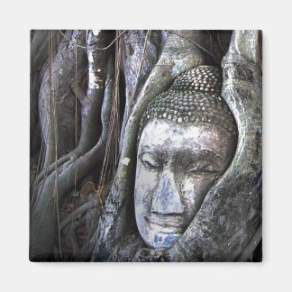 Imán El Buda Y El Árbol De La Fotografía Tailandesa Del