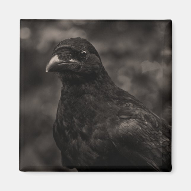 Imán El Buscador (Frente)