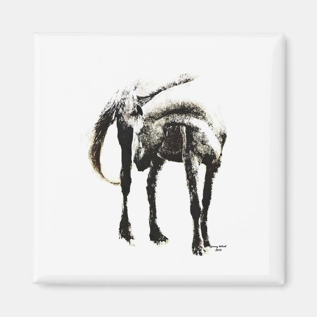 Imán El caballo (Frente)