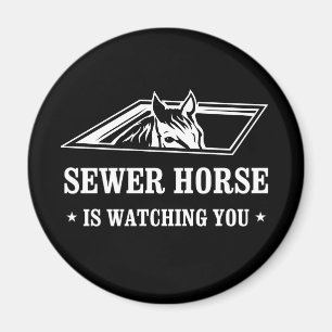 Imán El caballo de la alcantarilla le está mirando