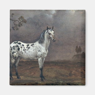 Imán El caballo picazo, 1653