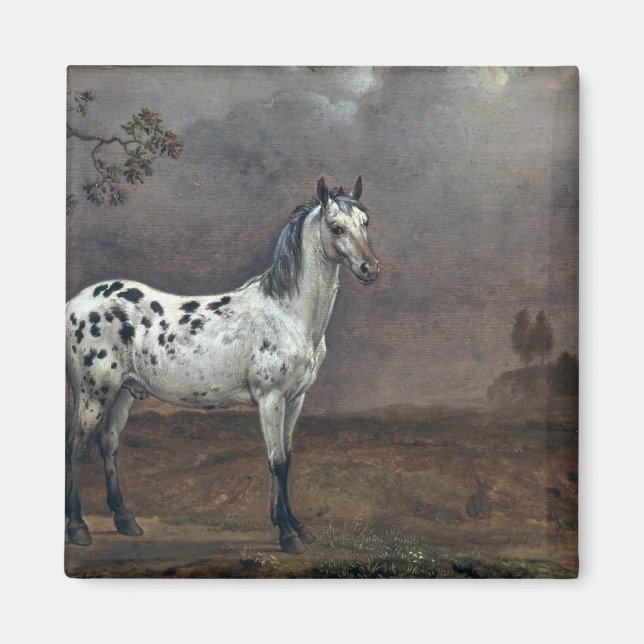 Imán El Caballo Piebald, 1653 (Frente)
