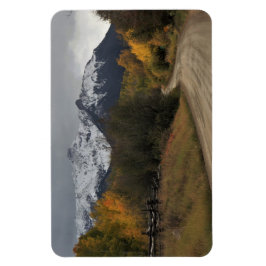 Imán El camino a casa