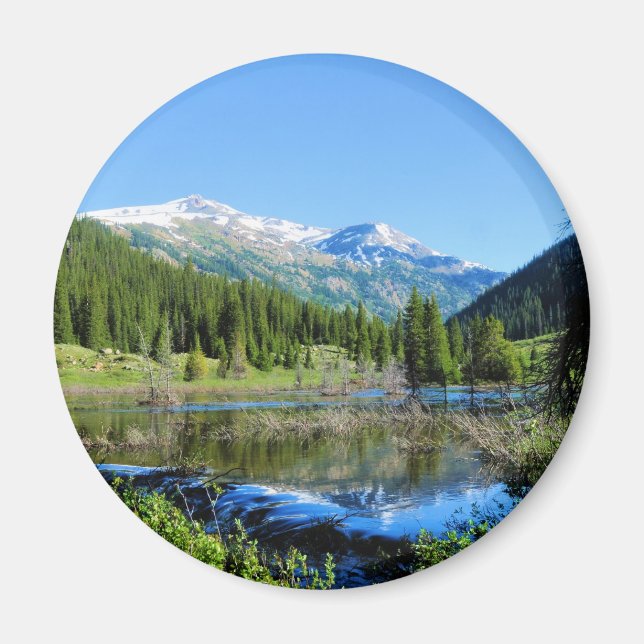 Imán El camino a la independencia (Frente)