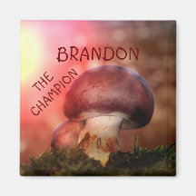 El campion con la seta