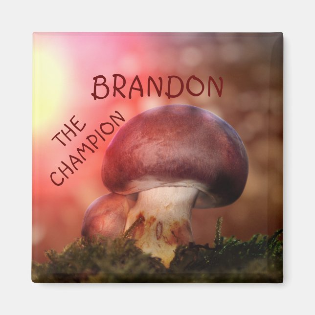 Imán El campion con la seta (Frente)