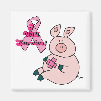 Imán el cáncer de mama sobrevivirá cerdo