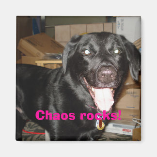 Imán ¡El caos roca!