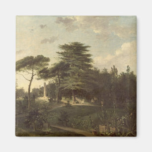 Imán El cedro de Líbano en el Jardin des Plantes