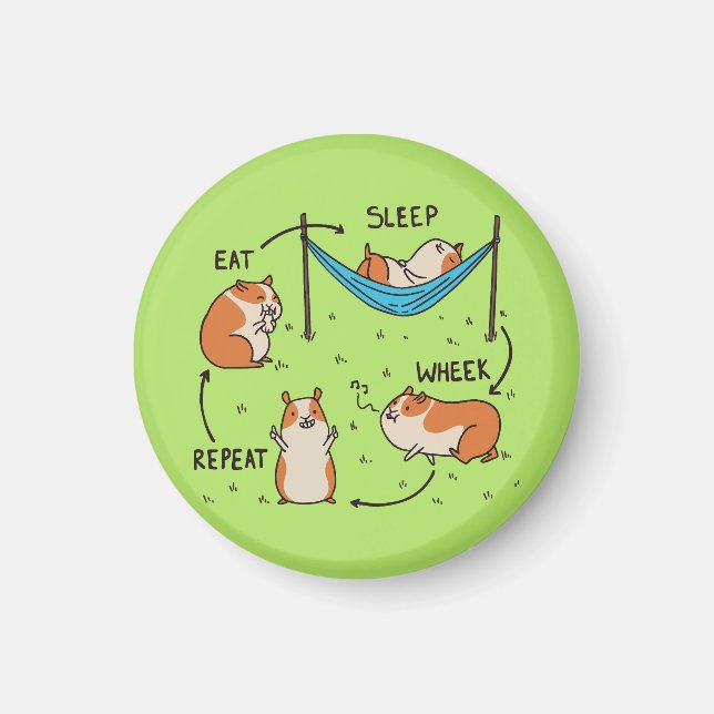 Imán El ciclo de vida de un cuy (Frente)