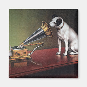 Imán El color de la voz del maestro