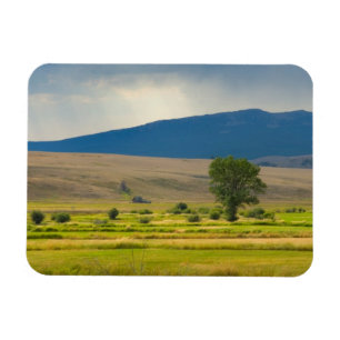 Imán El condado de Granite Montana