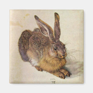 Imán El CONEJO (liebres jovenes)