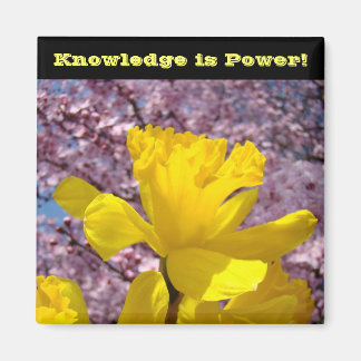 Imán El conocimiento es poder.