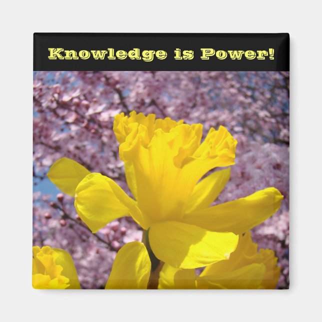 Imán El conocimiento es poder. (Frente)