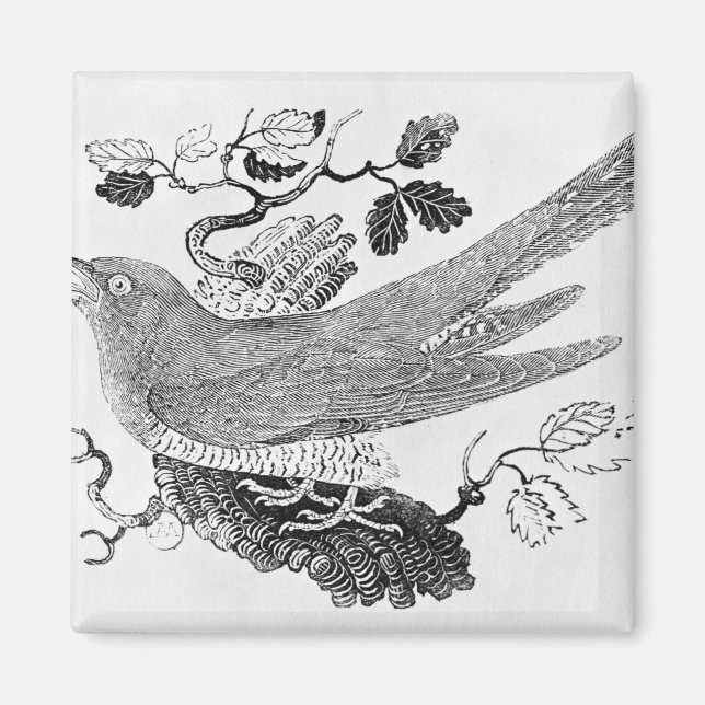 Imán El cuco (Frente)