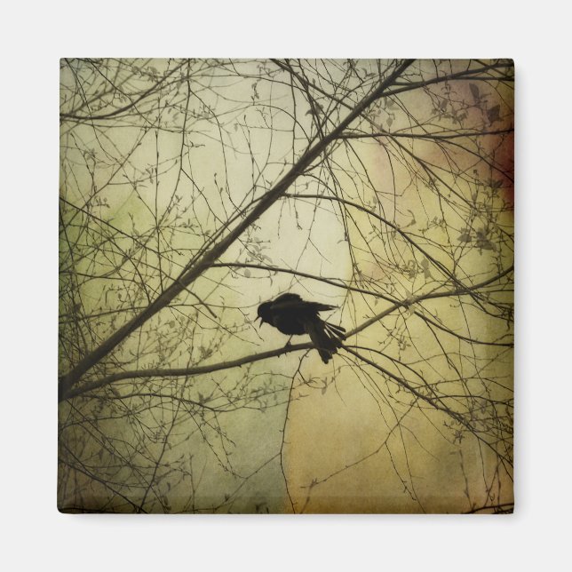 Imán El cuervo habla (Frente)