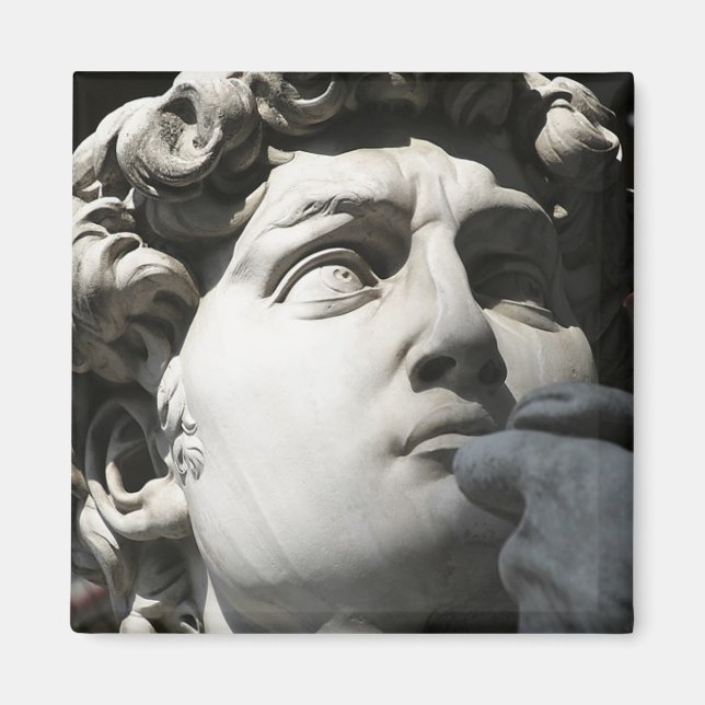 Imán El David de Miguel Ángel (Frente)