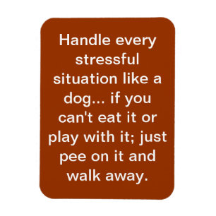 Imán el decir del perro