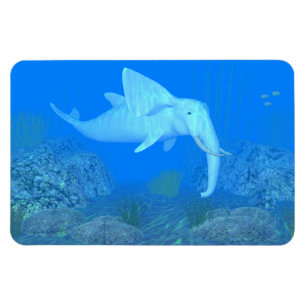 Imán El Deportivo Adorable