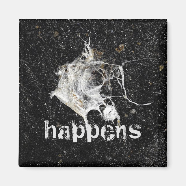 Imán El descenso de aves es gracioso y Guay (Frente)