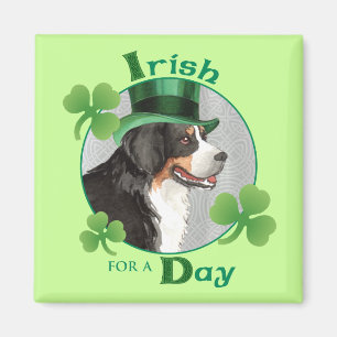 Imán El día Berner de St Patrick