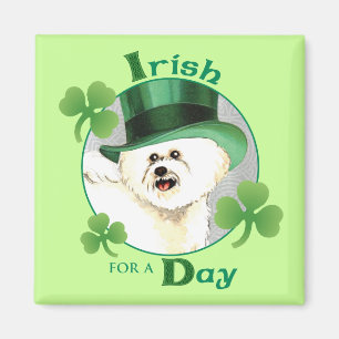 Imán El día Bichon de St Patrick