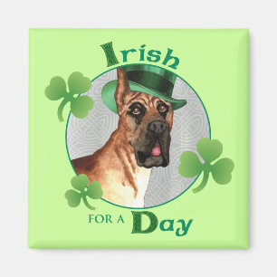 Imán El Día de San Patricio