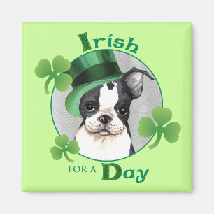 Imán El Día de San Patricio, Boston Terrier
