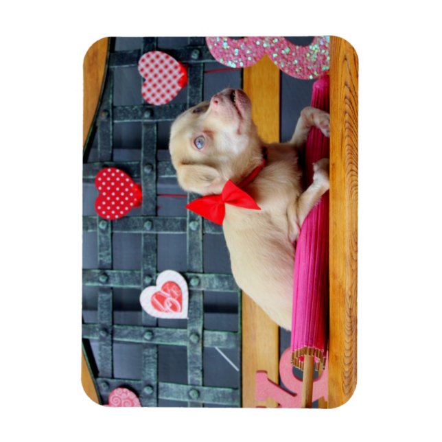 Imán El día de San Valentín TuckerWearsGoggles Magnets (Vertical)