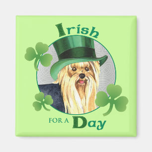 Imán El día Yorkie de St Patrick