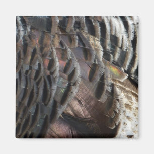 Imán El diseño de la naturaleza abstracta de las plumas