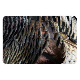 Imán El diseño de la naturaleza abstracta de las plumas