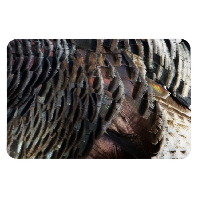 Imán El diseño de la naturaleza abstracta de las plumas (Horizontal)