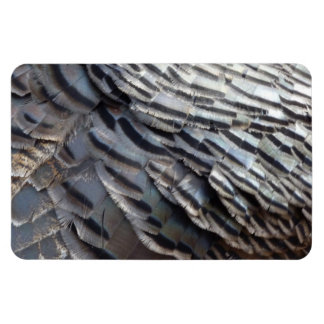 Imán El diseño de la naturaleza abstracta de los plumas